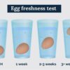 How to tell how fresh your egg is (baking tip)