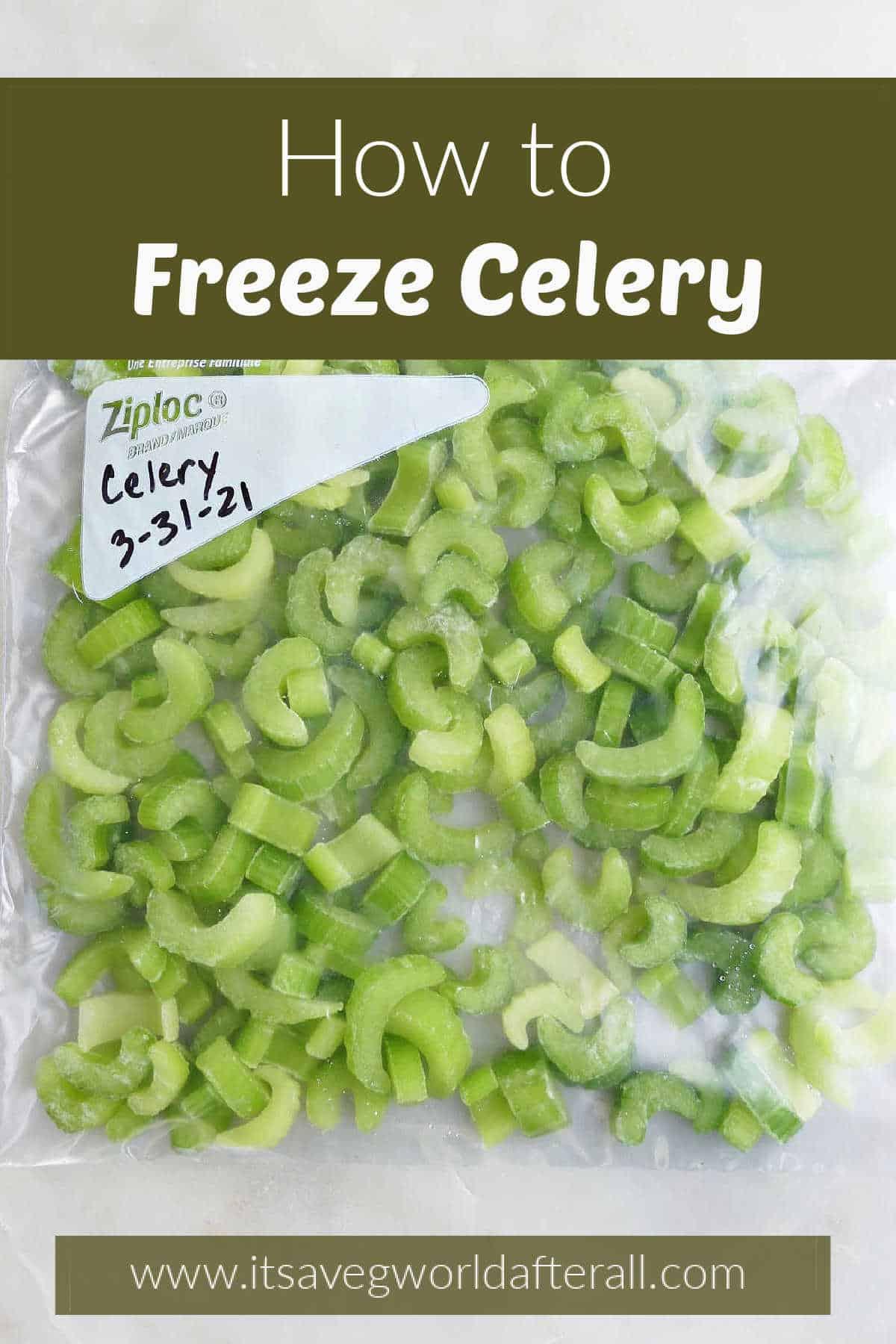 can you freeze celery root