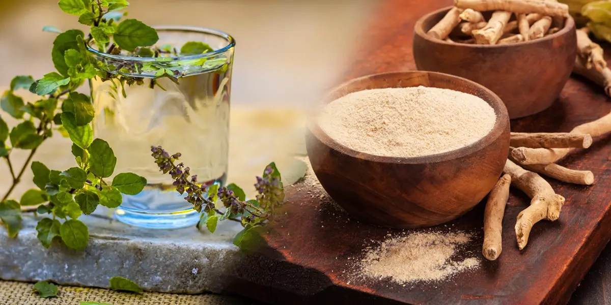 Can Ashwagandha And Tulsi Be Taken Together?