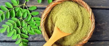 Benefits of Taking Moringa Leaf with Turmeric