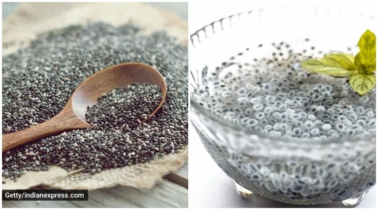 chia seeds vs sabja seeds benefits