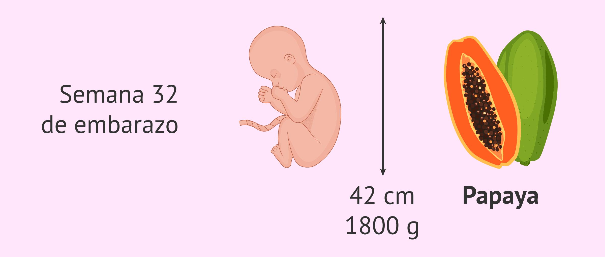 cuantos meses son en 32 semanas de embarazo