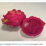 Are Red Stools after Red Dragon Fruit (Selenicereus costaricensis) Ingestion a Red Herring? – Case Report and Clinical Pearls for Recognition