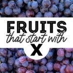 10 Fruits That Start With X (With Photos!)