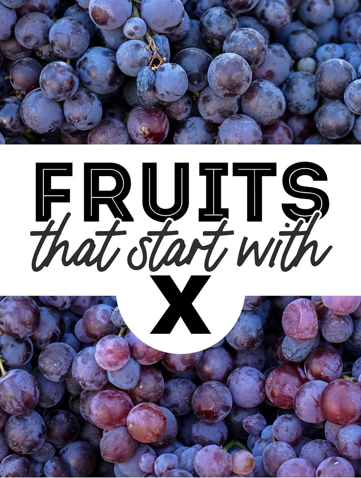 fruit that starts with the letter x