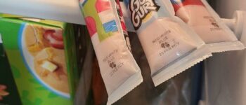 Can you Freeze Gogurt?