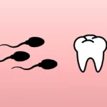 Can Semen Actually Prevent Cavities? The Truth Explained