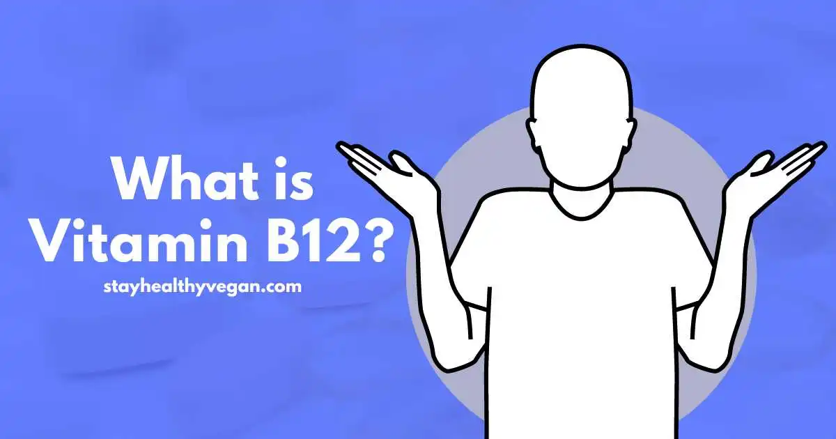 What is Vitamin B12