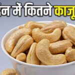 Cashew Nut Benefits: एक दिन में कितने काजू खाना हेल्दी? जानें सेवन का सही तरीका, 90% लोग नहीं जानते