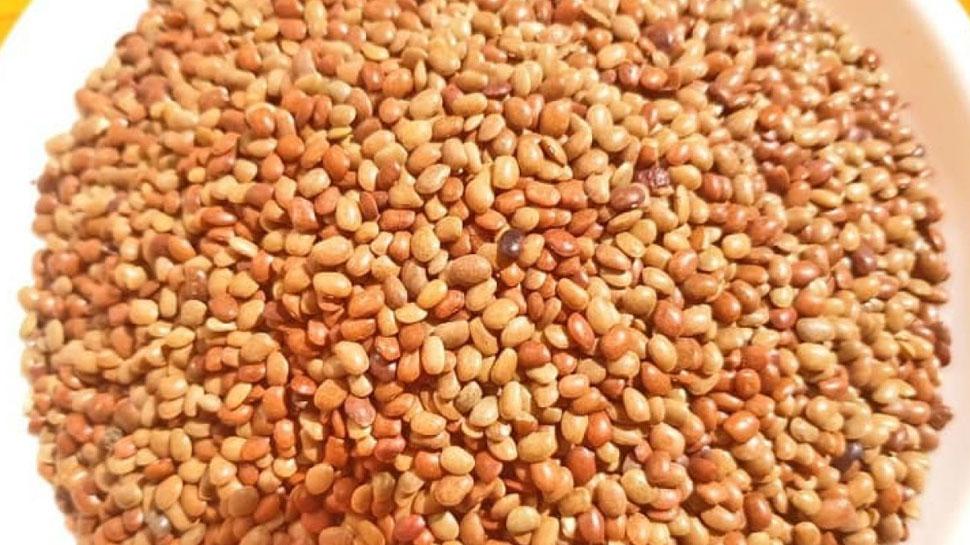 Kulthi Dal ke Fayde: ताकत का खजाना है ये दाल, कोलेस्ट्रॉल, पाइल्स और गुर्दे की पथरी का कर देती सफाया; इम्यूनिटी होती है मजबूत