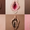 Día de la Vulva: ¿sabías que los genitales femeninos tienen 6 orificios?