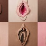 Día de la Vulva: ¿sabías que los genitales femeninos tienen 6 orificios?