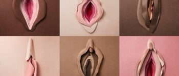 Día de la Vulva: ¿sabías que los genitales femeninos tienen 6 orificios?