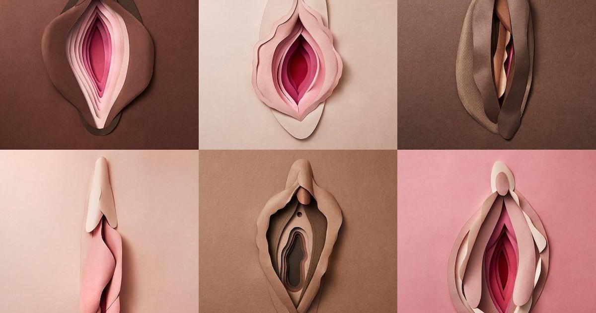 Día de la Vulva: ¿sabías que los genitales femeninos tienen 6 orificios?