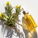 The Benefits of Tea Tree Oil for Dreadlocks