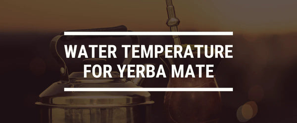 water temp for yerba mate