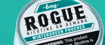 Snus vs Rogue Nicotine Pouches: What's the Difference?