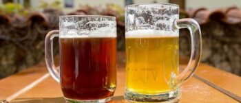 What is the Difference Between Mead and Beer?