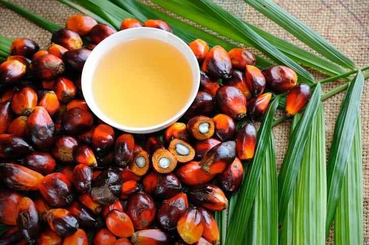 What is Alpha Palm Vitamin Benefits: Power of Palm Fruit