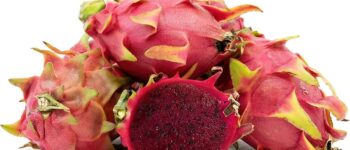 Red Pitaya Dragon Fruit