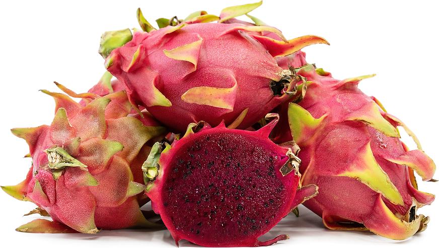 where to get red dragon fruit