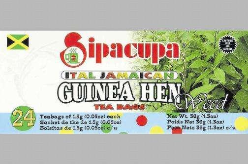 benefits of guinea hen weed tea