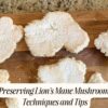 Preserving Lion's Mane Mushroom: Techniques and Tips