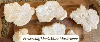 Preserving Lion's Mane Mushroom: Techniques and Tips