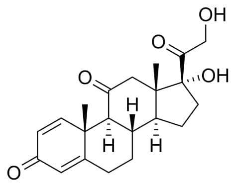 can you take prednisone after gastric bypass