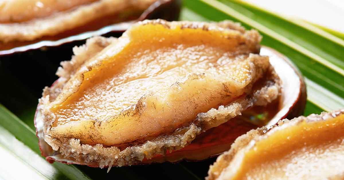 is abalone high in cholesterol