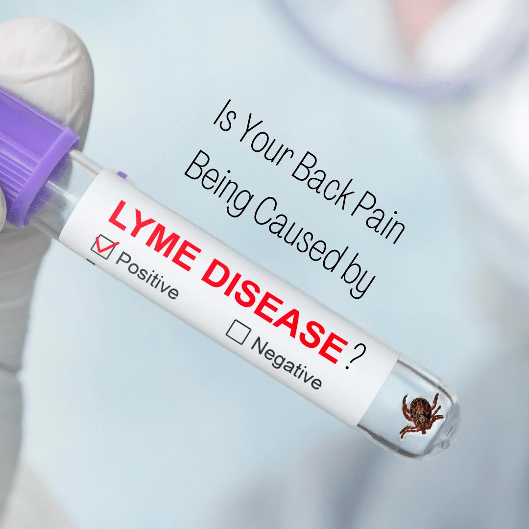 lyme disease and back pain