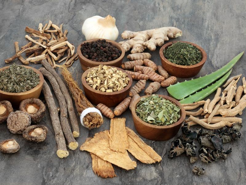 A collection of various adaptogens