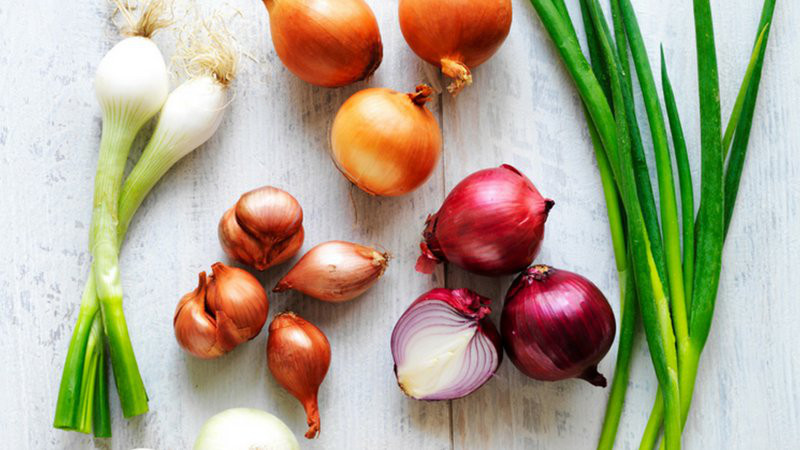 Hành lá tươi ngon, gia vị quen thuộc trong bếp ăn Việt.