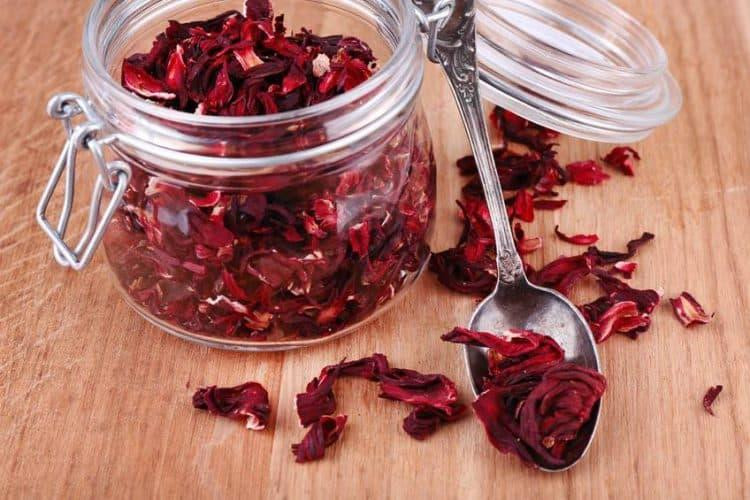 Hoa atiso đỏ tươi, rực rỡ, nguyên liệu chính để làm trà atiso đỏ, thức uống tốt cho sức khỏe