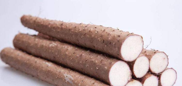 Hình ảnh khoai từ tươi chưa chế biến, minh họa cho giá trị dinh dưỡng của nó.
